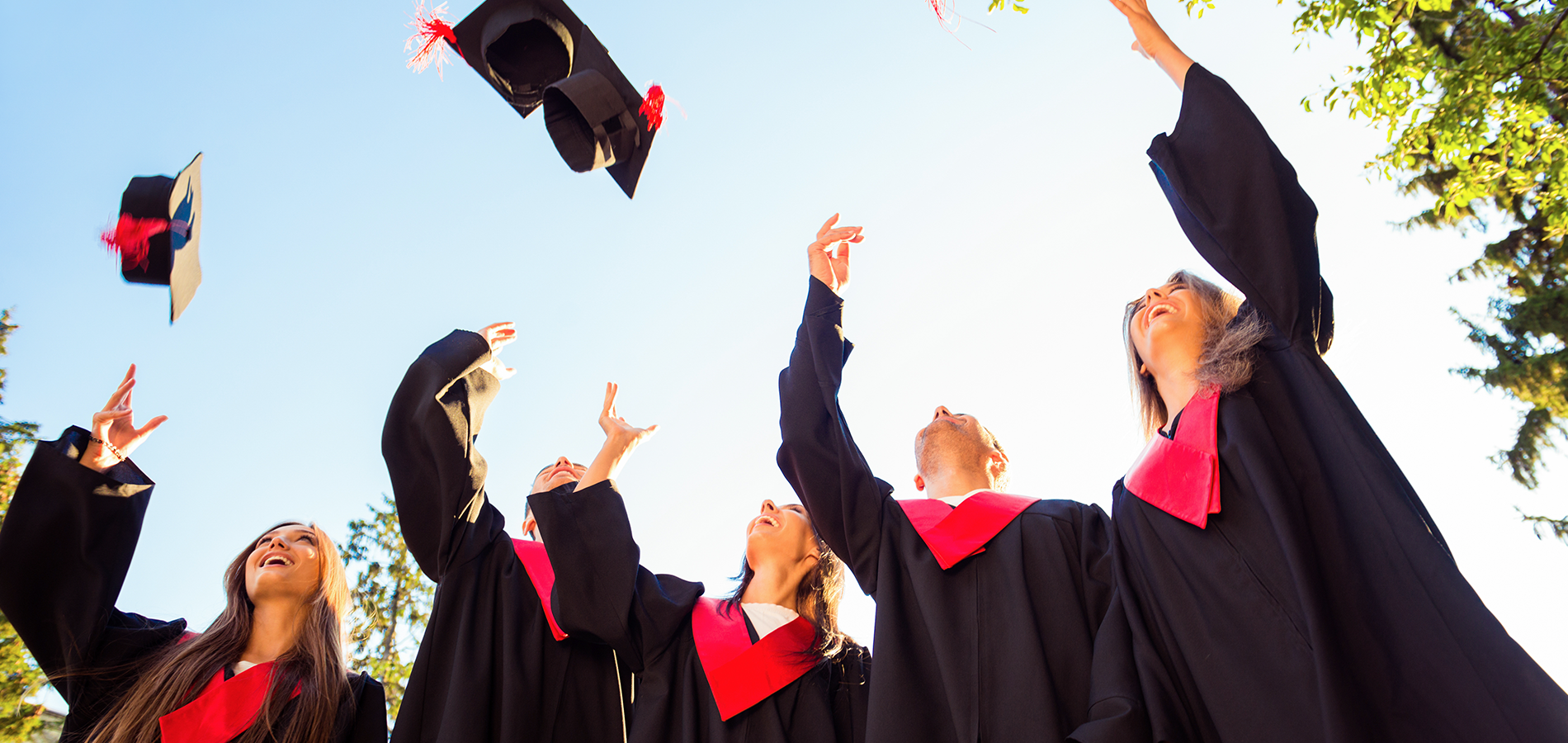 INSIGHTS: The Guthrie-Jensen Blog 7 Steps to Help Fresh Graduates ...